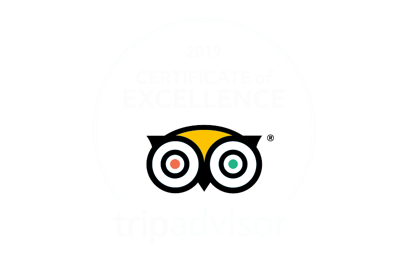 Trip Advisor Excellence Award